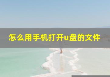 怎么用手机打开u盘的文件