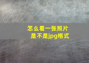 怎么看一张照片是不是jpg格式