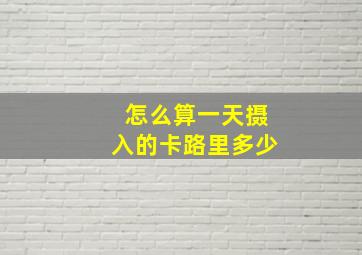 怎么算一天摄入的卡路里多少