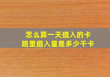 怎么算一天摄入的卡路里摄入量是多少千卡