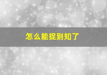 怎么能捉到知了