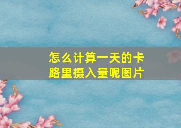 怎么计算一天的卡路里摄入量呢图片