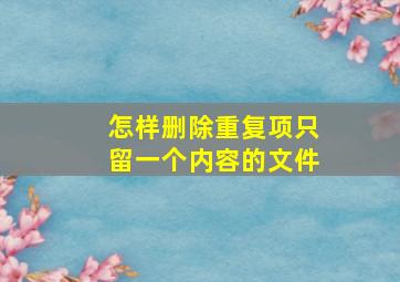 怎样删除重复项只留一个内容的文件