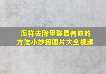 怎样去除甲醛最有效的方法小妙招图片大全视频