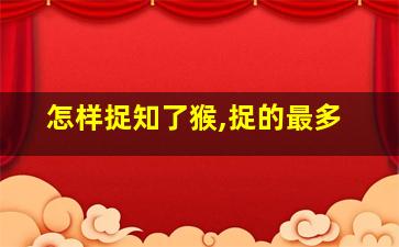 怎样捉知了猴,捉的最多