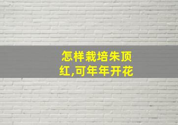 怎样栽培朱顶红,可年年开花