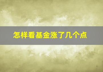 怎样看基金涨了几个点