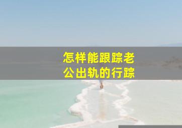 怎样能跟踪老公出轨的行踪