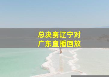 总决赛辽宁对广东直播回放