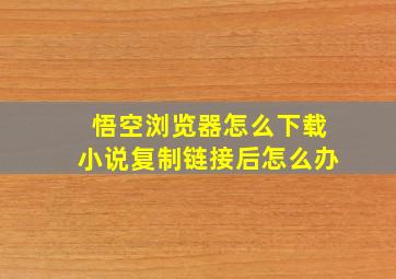 悟空浏览器怎么下载小说复制链接后怎么办