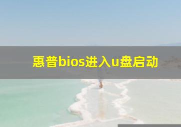 惠普bios进入u盘启动