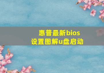 惠普最新bios设置图解u盘启动