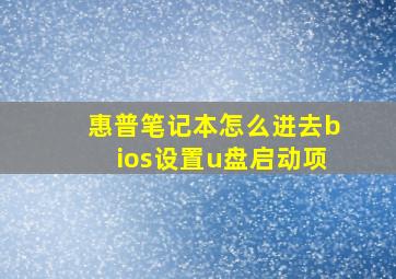 惠普笔记本怎么进去bios设置u盘启动项