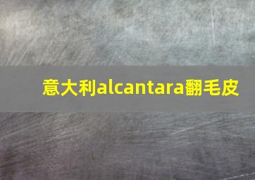 意大利alcantara翻毛皮