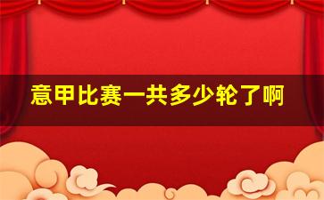 意甲比赛一共多少轮了啊