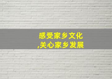 感受家乡文化,关心家乡发展