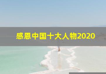 感恩中国十大人物2020