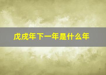 戊戌年下一年是什么年