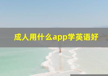 成人用什么app学英语好