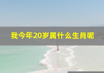 我今年20岁属什么生肖呢