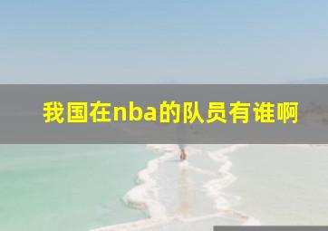 我国在nba的队员有谁啊