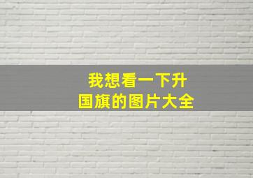 我想看一下升国旗的图片大全