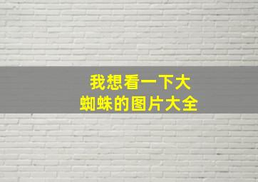 我想看一下大蜘蛛的图片大全