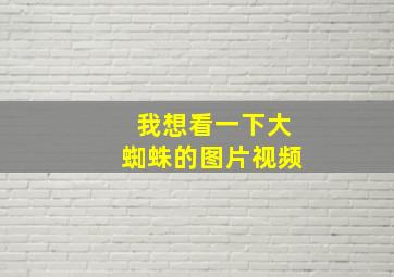 我想看一下大蜘蛛的图片视频