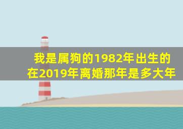 我是属狗的1982年出生的在2019年离婚那年是多大年