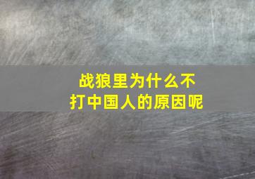 战狼里为什么不打中国人的原因呢