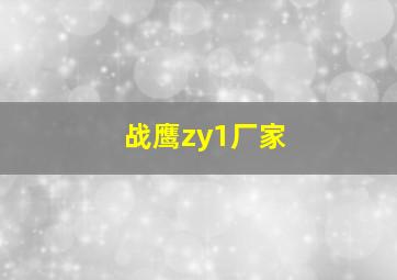 战鹰zy1厂家