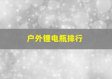 户外锂电瓶排行