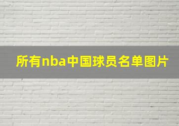 所有nba中国球员名单图片