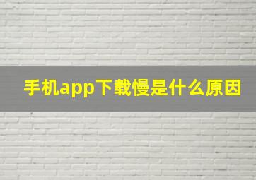 手机app下载慢是什么原因