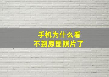 手机为什么看不到原图照片了