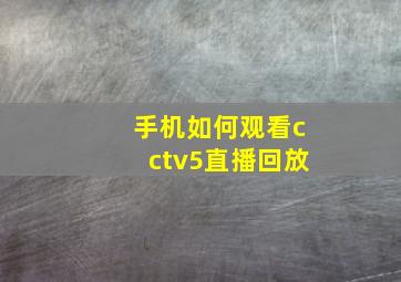 手机如何观看cctv5直播回放