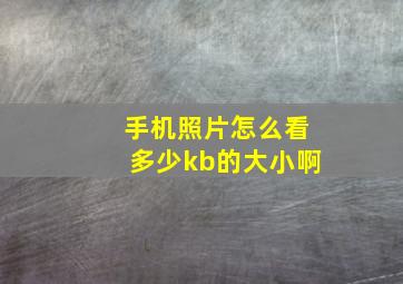 手机照片怎么看多少kb的大小啊