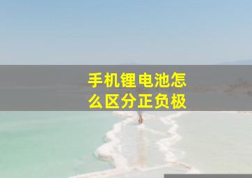 手机锂电池怎么区分正负极