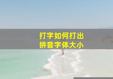 打字如何打出拼音字体大小