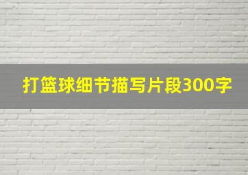 打篮球细节描写片段300字