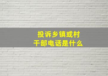 投诉乡镇或村干部电话是什么