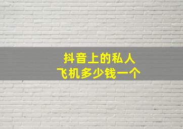 抖音上的私人飞机多少钱一个