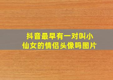 抖音最早有一对叫小仙女的情侣头像吗图片