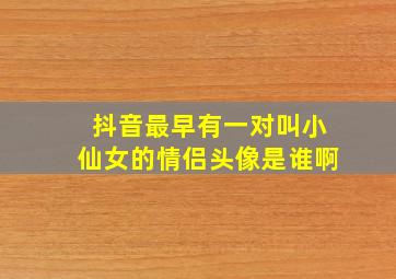 抖音最早有一对叫小仙女的情侣头像是谁啊