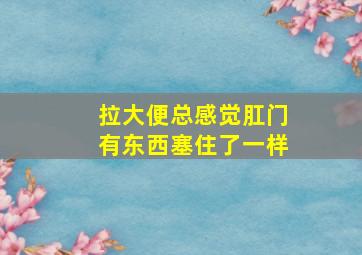 拉大便总感觉肛门有东西塞住了一样