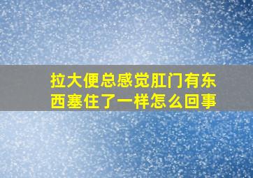 拉大便总感觉肛门有东西塞住了一样怎么回事