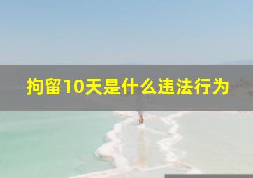 拘留10天是什么违法行为