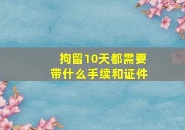 拘留10天都需要带什么手续和证件