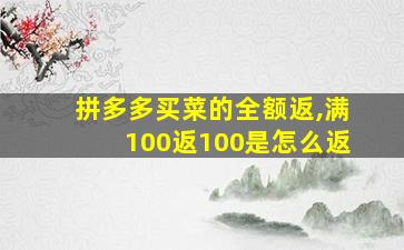 拼多多买菜的全额返,满100返100是怎么返