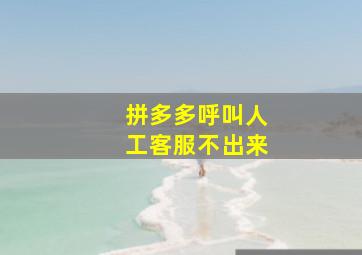 拼多多呼叫人工客服不出来